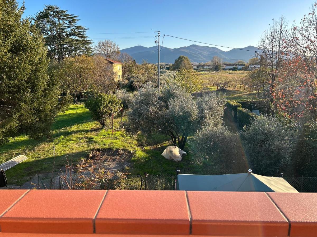 Апартаменты Albi'S House,Terrazza ,Wi-Fi, Parcheggio, Ac Лукка Экстерьер фото