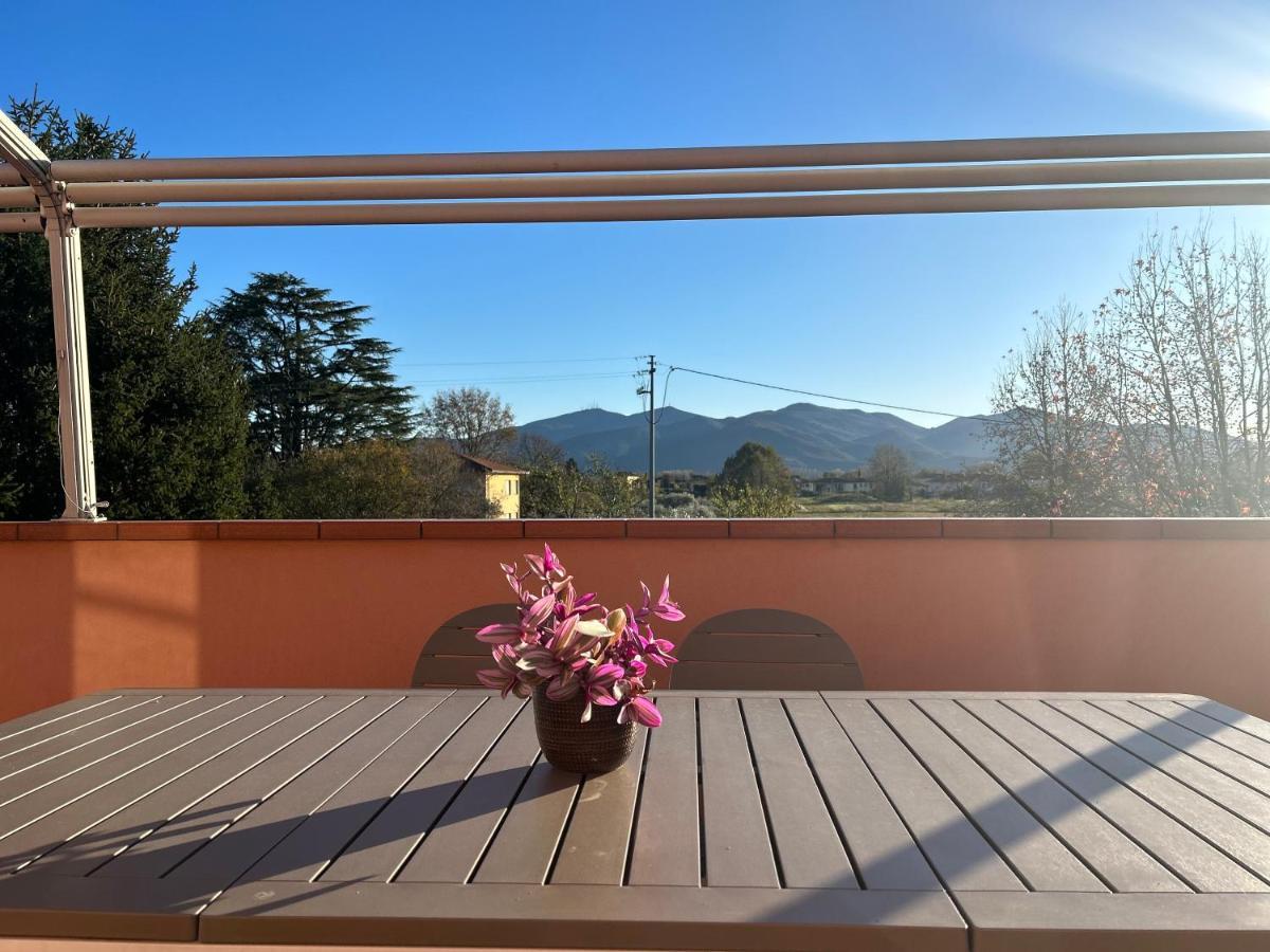 Апартаменты Albi'S House,Terrazza ,Wi-Fi, Parcheggio, Ac Лукка Экстерьер фото