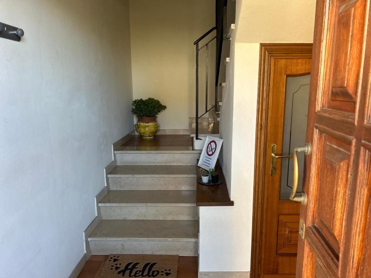 Апартаменты Albi'S House,Terrazza ,Wi-Fi, Parcheggio, Ac Лукка Экстерьер фото