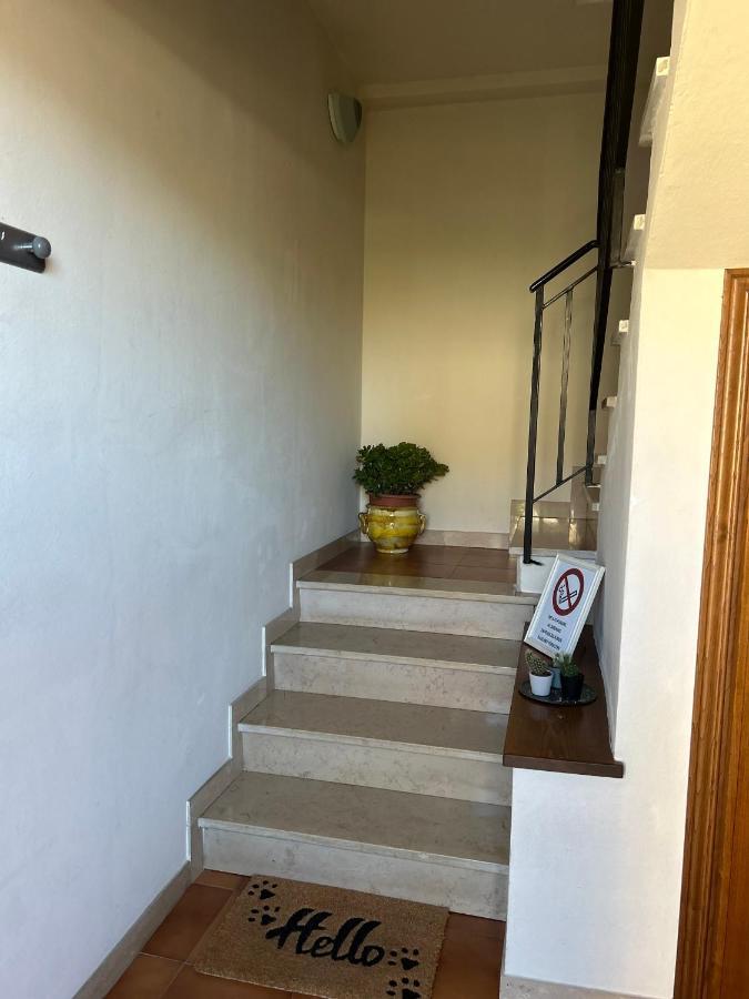 Апартаменты Albi'S House,Terrazza ,Wi-Fi, Parcheggio, Ac Лукка Экстерьер фото